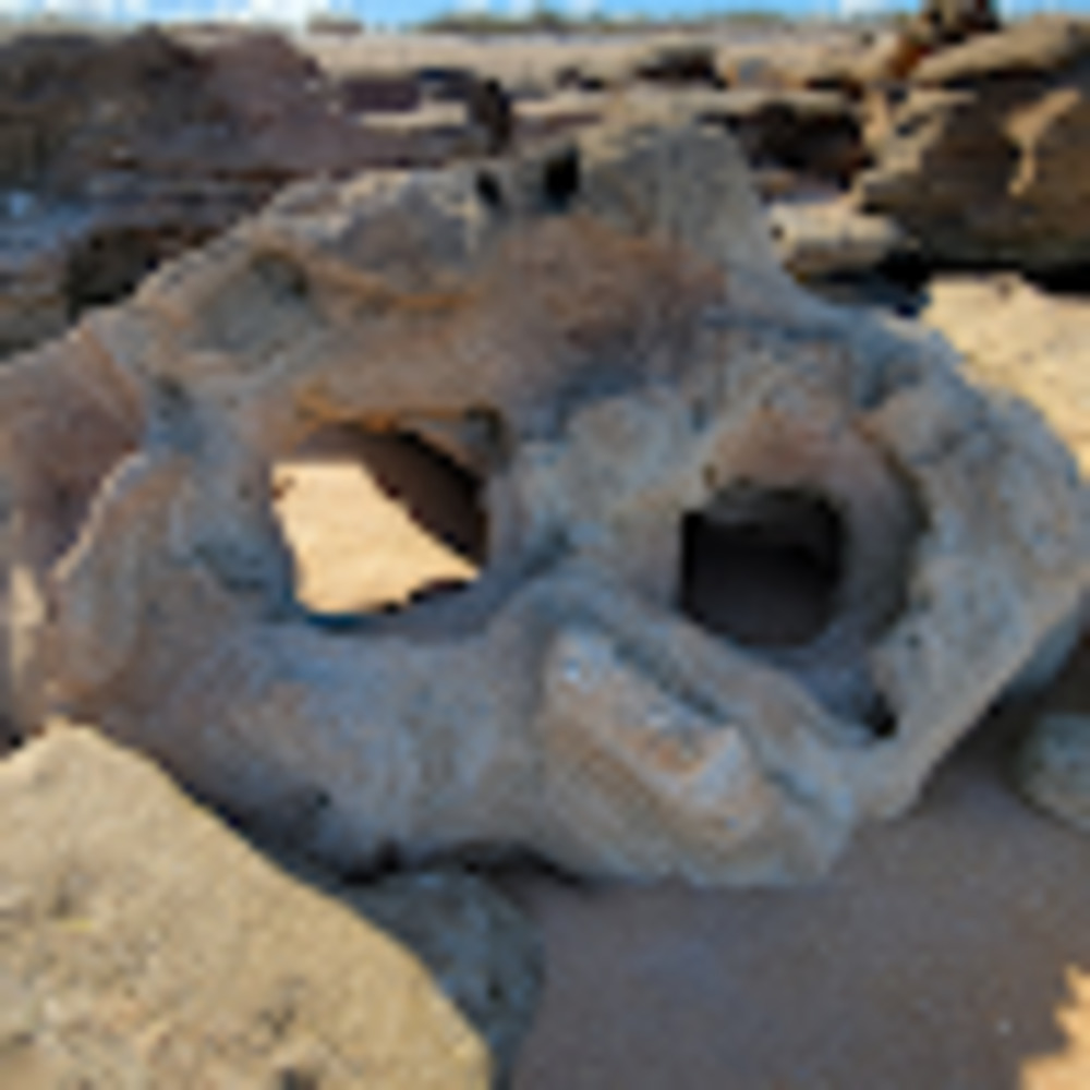 Meet your Posher, Tanya